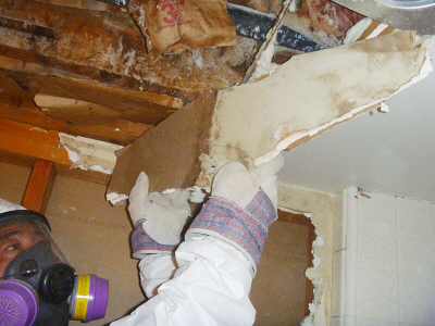 Building Cleaning Services - Los Angeles Mold Removal Company